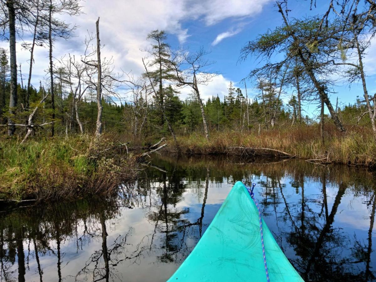 Fiddler'S Lake Escape Gabarus Kültér fotó