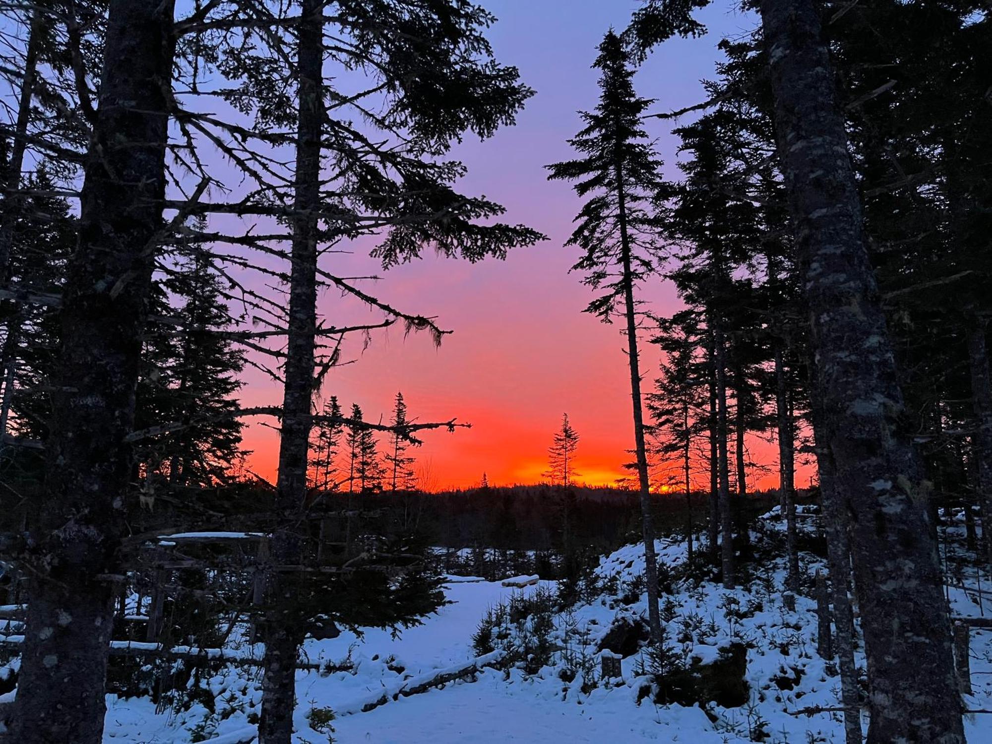 Fiddler'S Lake Escape Gabarus Kültér fotó